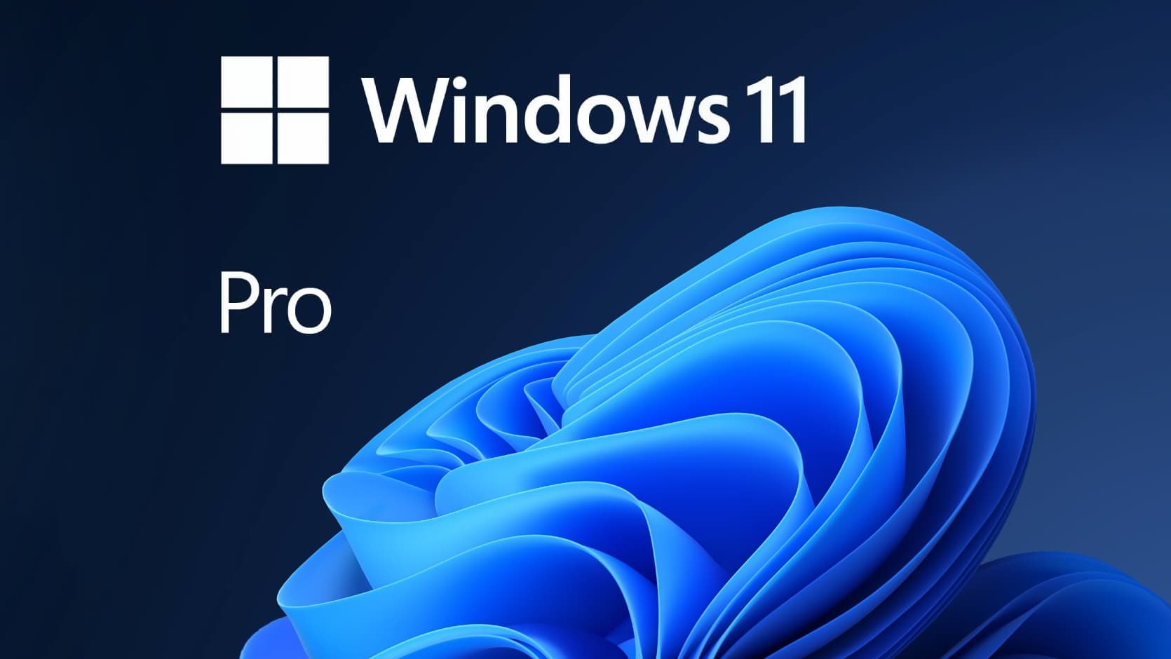 Windows 11 Pro