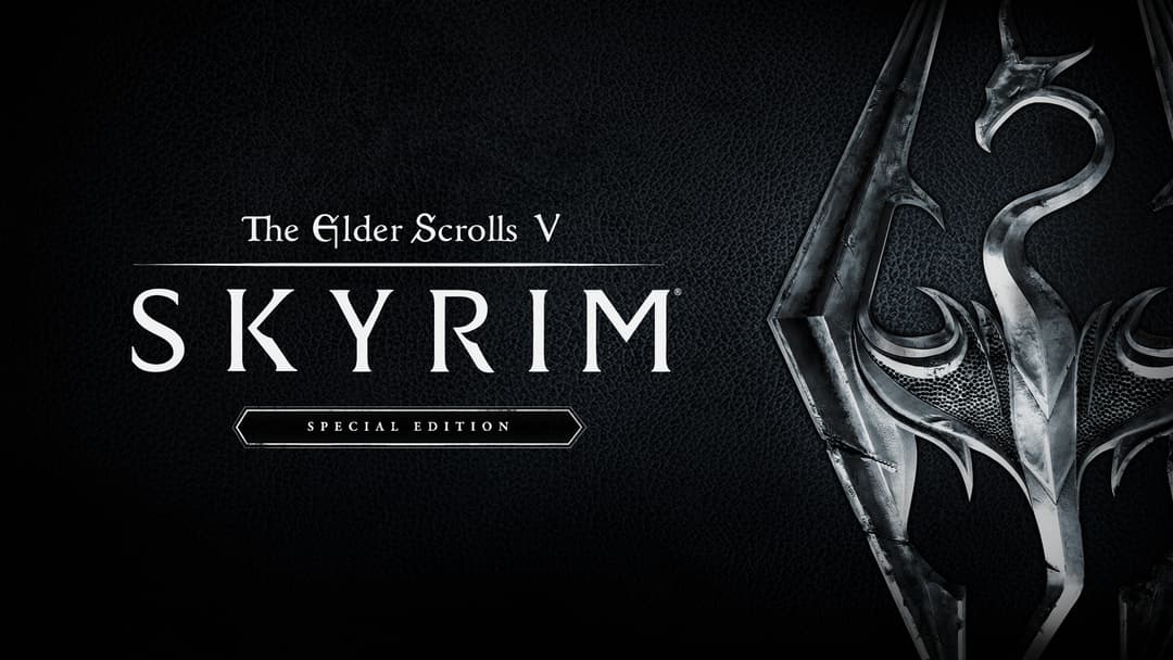 The Elder Scrolls V: Skyrim Special Edition (PC) cover image