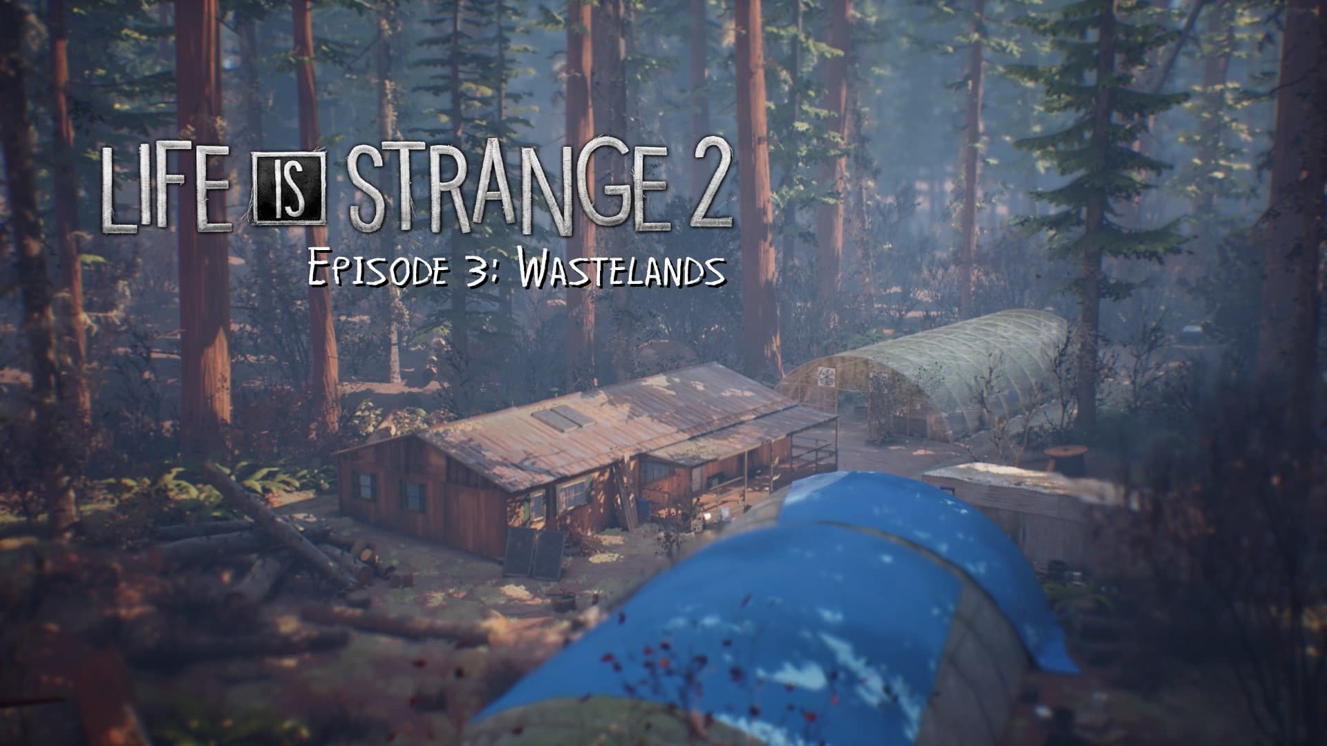 Life is Strange 2 - Episode 3