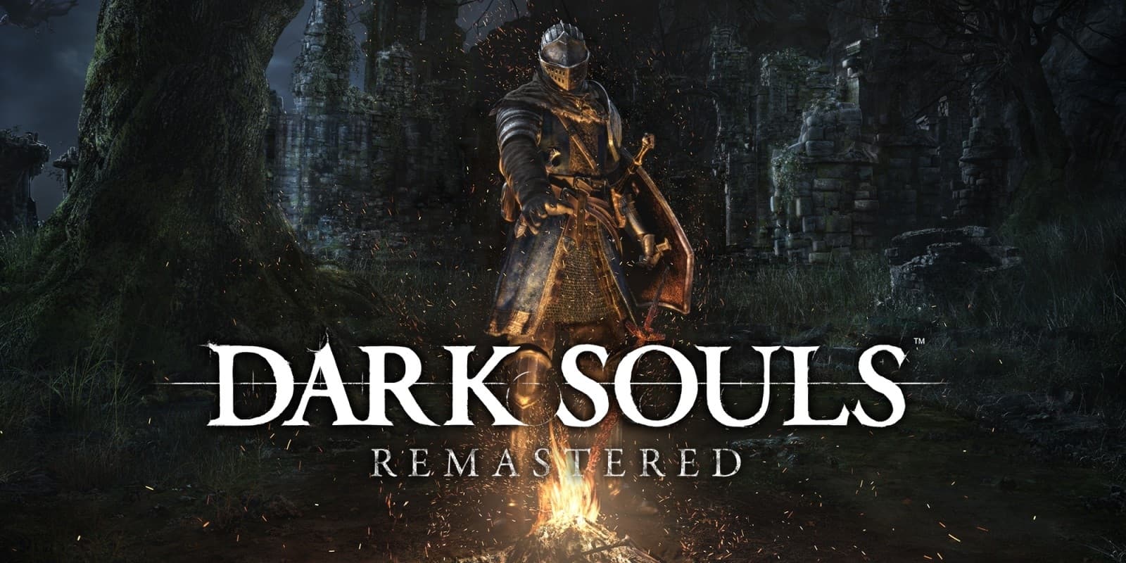 Background image for Dark Souls Remastered (United States)