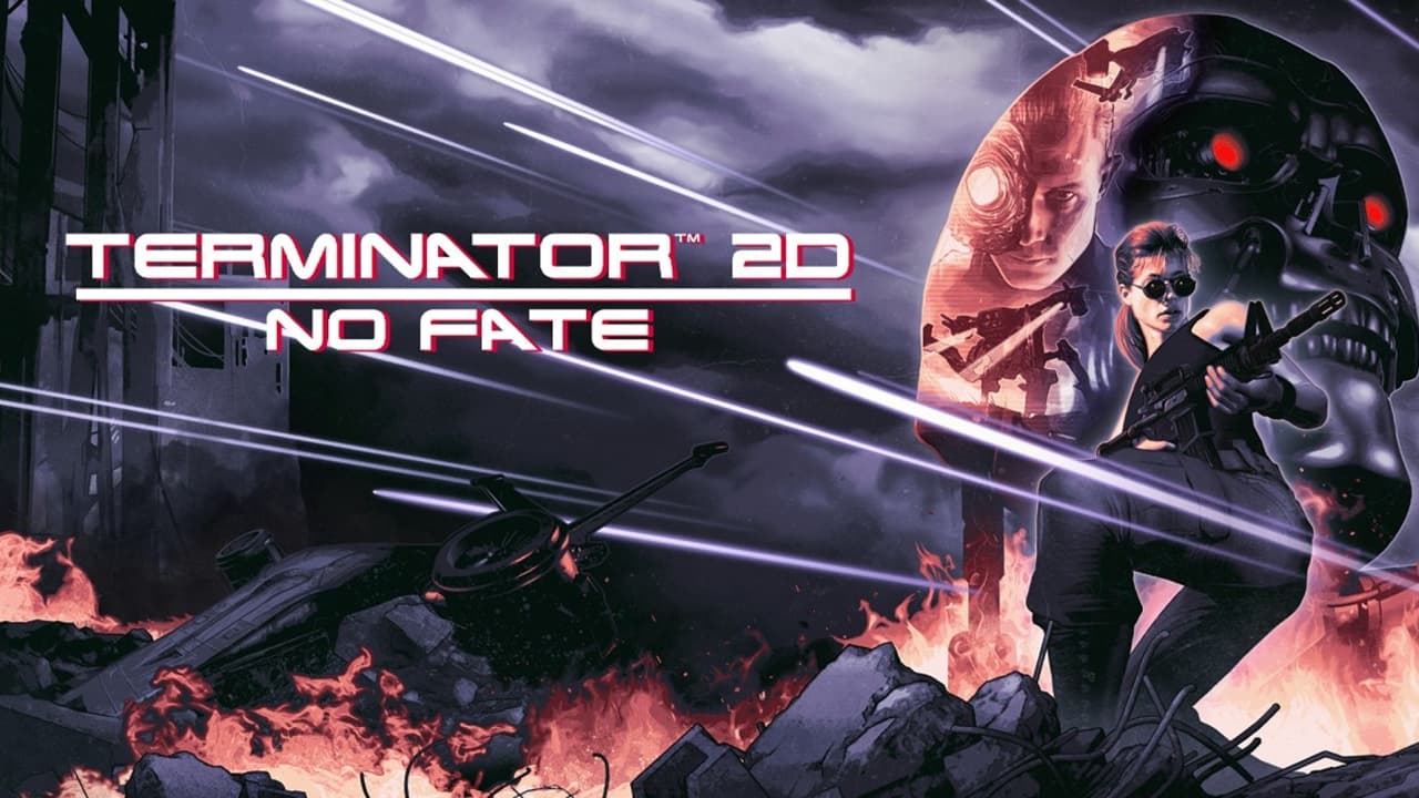 Terminator 2D: NO FATE