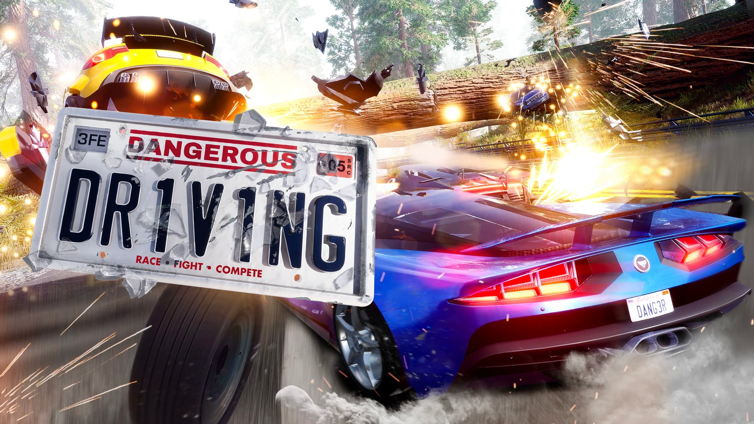 Dangerous Driving