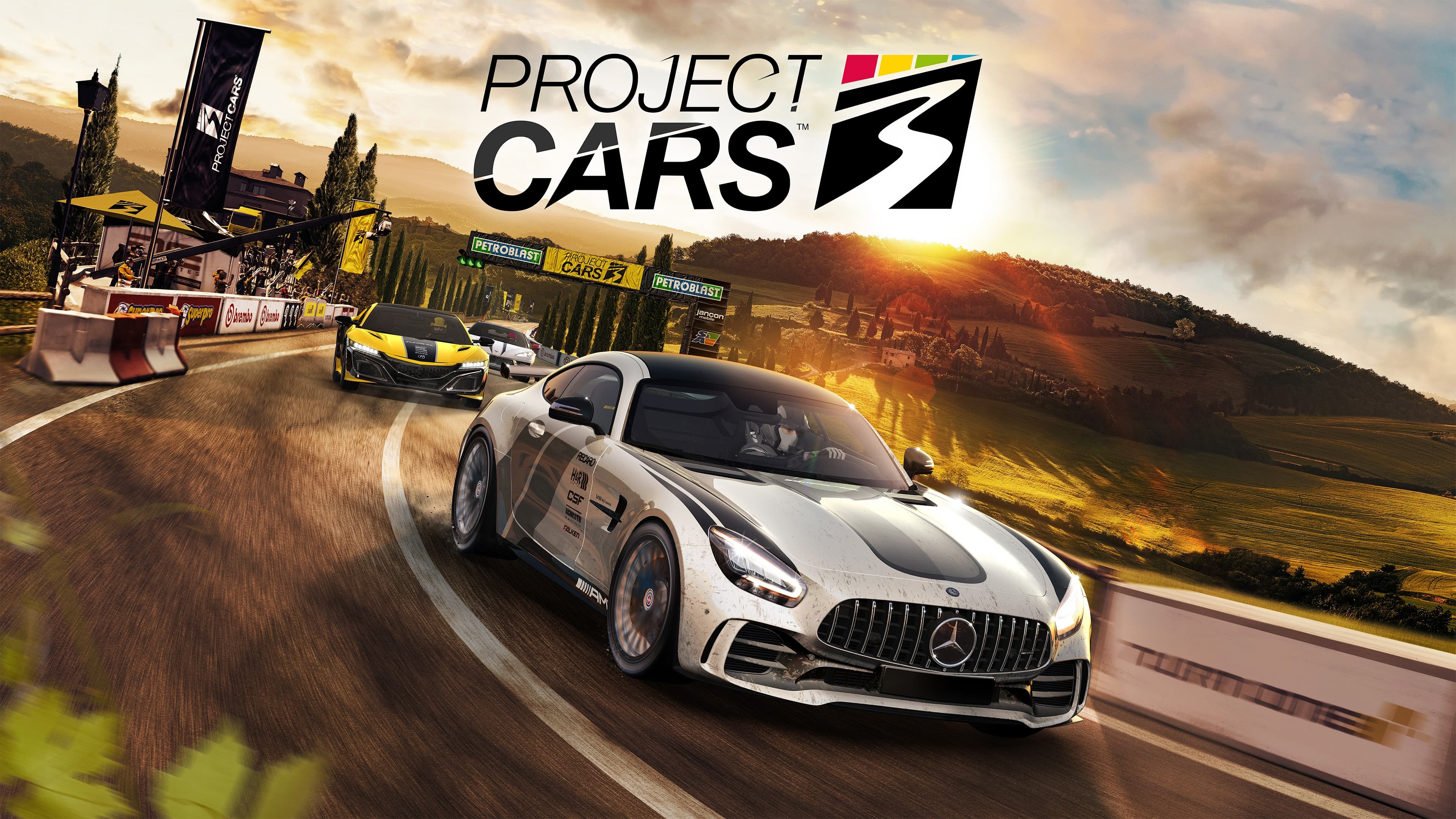 Project Cars 3 (PC)
