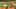 Game screenshot thumbnail 5