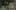 Game screenshot thumbnail 5