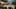 Game screenshot thumbnail 5