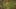 Game screenshot thumbnail 1
