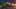 Game screenshot thumbnail 2