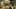 Game screenshot thumbnail 2