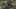 Game screenshot thumbnail 2