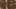 Game screenshot thumbnail 4