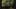Game screenshot thumbnail 1