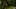 Game screenshot thumbnail 1
