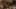 Game screenshot thumbnail 4