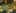 Game screenshot thumbnail 5