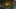 Game screenshot thumbnail 1