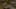 Game screenshot thumbnail 4