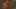 Game screenshot thumbnail 1