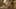 Game screenshot thumbnail 3