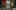 Game screenshot thumbnail 5