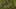 Game screenshot thumbnail 1