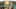 Game screenshot thumbnail 5