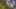 Game screenshot thumbnail 3