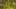 Game screenshot thumbnail 4