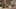 Game screenshot thumbnail 1