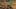 Game screenshot thumbnail 5