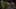 Game screenshot thumbnail 5