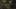 Game screenshot thumbnail 5
