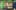 Game screenshot thumbnail 2