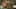 Game screenshot thumbnail 5