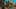 Game screenshot thumbnail 1