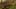 Game screenshot thumbnail 3