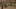 Game screenshot thumbnail 5