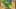 Game screenshot thumbnail 5