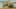 Game screenshot thumbnail 4