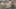 Game screenshot thumbnail 1