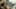 Game screenshot thumbnail 2