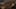 Game screenshot thumbnail 3