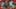 Game screenshot thumbnail 2