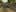 Game screenshot thumbnail 5