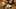 Game screenshot thumbnail 1