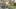 Game screenshot thumbnail 3