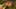 Game screenshot thumbnail 2