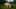 Game screenshot thumbnail 1