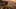 Game screenshot thumbnail 5