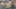 Game screenshot thumbnail 1